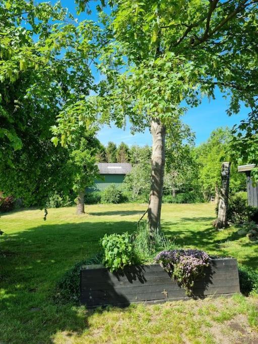 Willkommen In Frifelt Naehe Romo Mit Wunderschoenen Garten Skærbæk Buitenkant foto